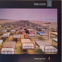 Pink Floyd - A momentary lapse of reason