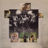 The Ozark Mountain Daredevils - The car over the lake album
