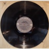 Joe Byrd and the field hippies - The American Metaphysical Circus