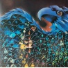 Renato Zero - Icaro