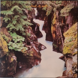 Cat Stevens - Back to earth