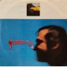 Ivan Graziani - Ivan Graziani