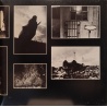 Pink Floyd - Animals