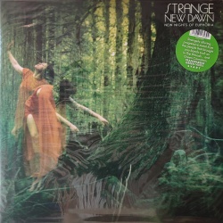 Strange New Dawn - New nights of euphoria