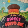 The Sweet - Poppa Joe