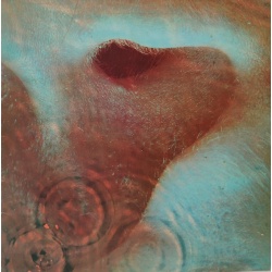 Pink Floyd - Meddle