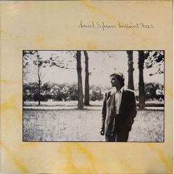 David Sylvian - Brilliant trees