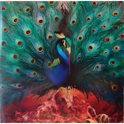 Opeth - Sorceress