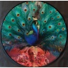 Opeth - Sorceress