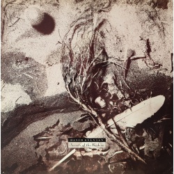 David Sylvian - Secrets of the beehive