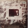David Sylvian - Secrets of the beehive