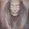 Emerson Lake e Palmer - Brain salad surgery