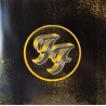 Foo Fighters - Wasting light