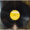 Foo Fighters - Wasting light