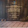 Ligabue - 7