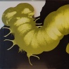 Catapilla - Changes