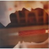 Mark Lanegan - Scraps at Midnight