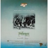 Yes - Relayer