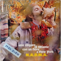 N.A.D.M.A. - Uno zingaro di Atlante con un fiore a New York