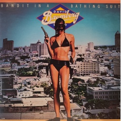 David Bromberg - Bandit in a bathing suit