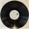 Big Country - Peace in our time, prima edizione inglese in vinile di seconda mano Big Country - Peace in our time, prima edizione inglese in vinile di seconda mano