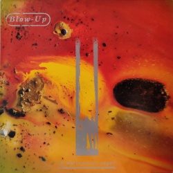 Blow up - In watermelon sugar. Prima edizione in vinile di seconda mano.