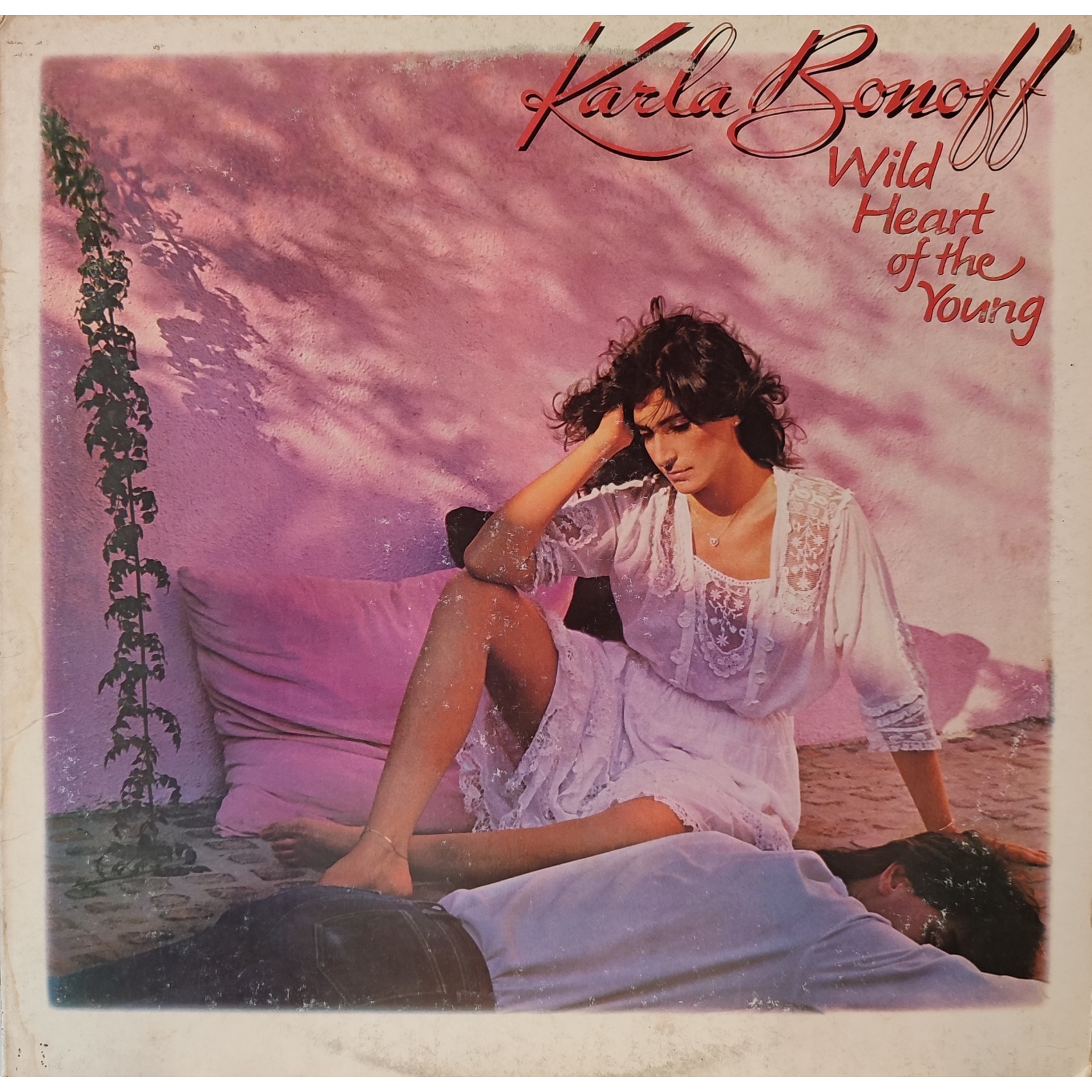 Karla Bonoff - Wild heart of the young. Prima edizione americana in vinile di seconda mano. Karla Bonoff - Wild heart of the young. Prima edizione americana in vinile di seconda mano.