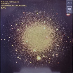 Mahavishnu Orchestra - Between Nothingness & Eternity