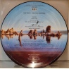 Pink Floyd - Wish you were here