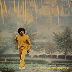 Riccardo Cocciante - Cervo a primavera