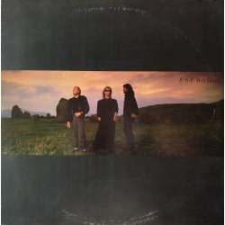 Bee Gees - E S.P. Prima edizione italiana in vinile di seconda mano.