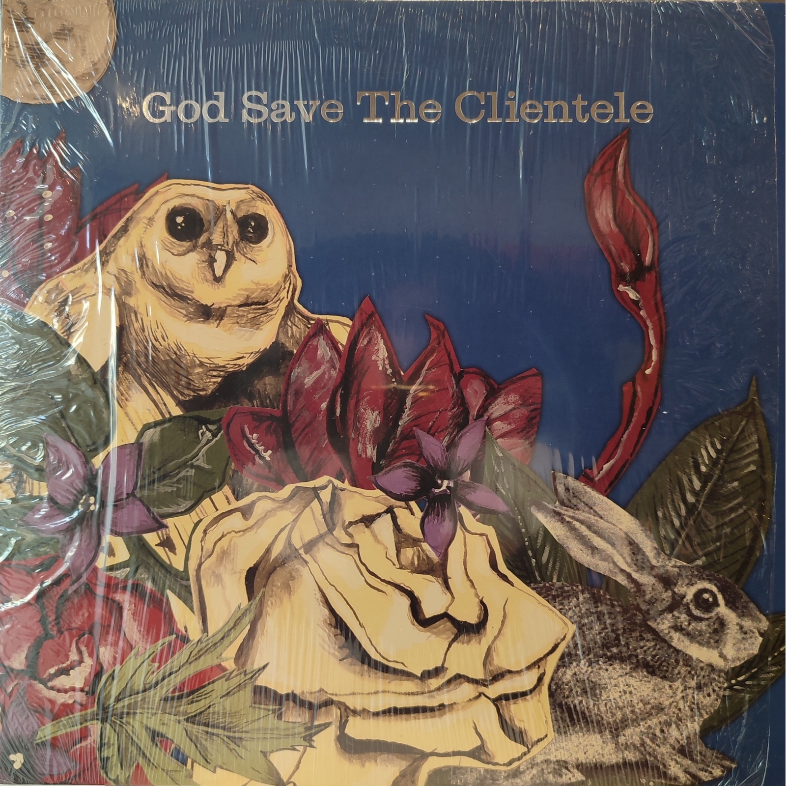 The Clientele - God save the Clientele. Ristampa europea in vinile di seconda mano. The Clientele - God save the Clientele. Ristampa europea in vinile di seconda mano.